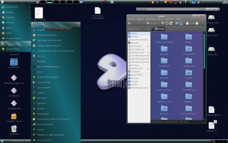 gentoo_turquoise.png, avr. 2012 gentoo_turquoise.png