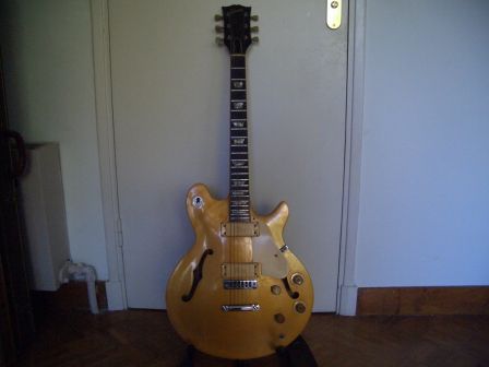 GIBSON_LES_PAUL_SIGNA.JPG