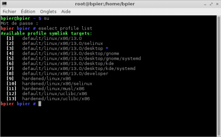 eselect_profile_list_gentoo_bpier.png